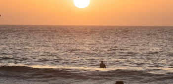 Surfers in the water at sunset