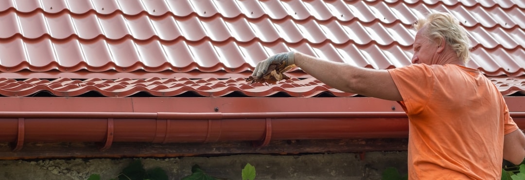 Illustration of rats eating leaves in a restaurant that’s in the gutters of a house